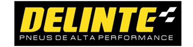 pneu delinte